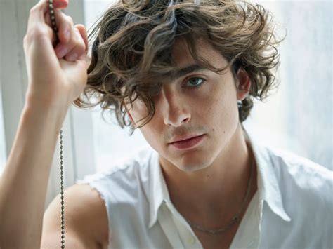 How Tall Is Timothée Chalamet? Find Out Now! - bioinkling.com
