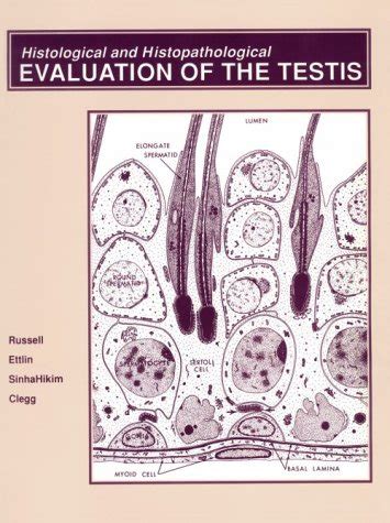 Buy Histological and Histopathological Evaluation of the Testis Book ...