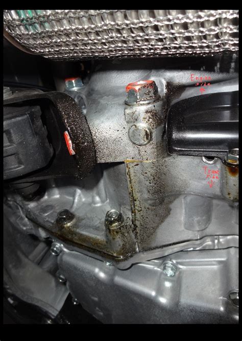 Leaking Transmission | 11th Gen Civic Forum