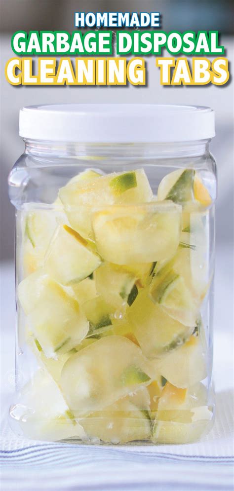 Stinky garbage disposal – Artofit