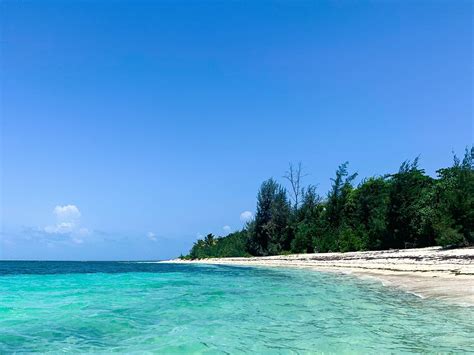 SALTY DOG CATAMARAN - All You Need to Know BEFORE You Go (with Photos ...