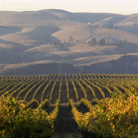 What are your Santa Barbara favorites? : r/wine