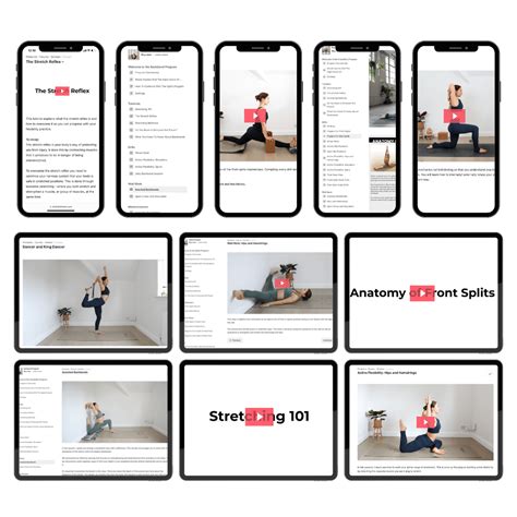 Flexibility Program 的图像结果