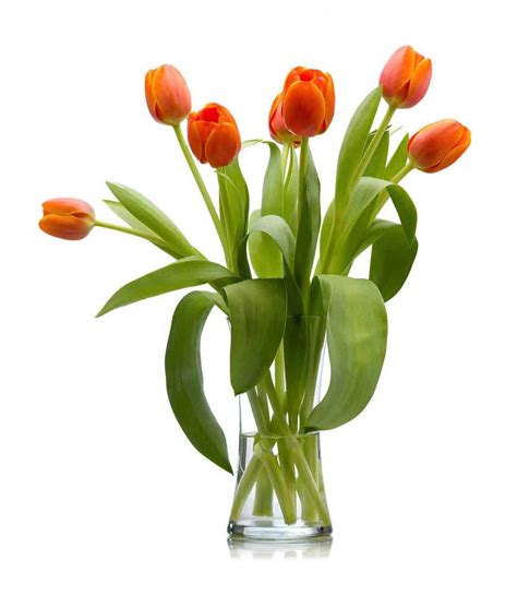 40+ Stunning Tulip Arrangement Ideas