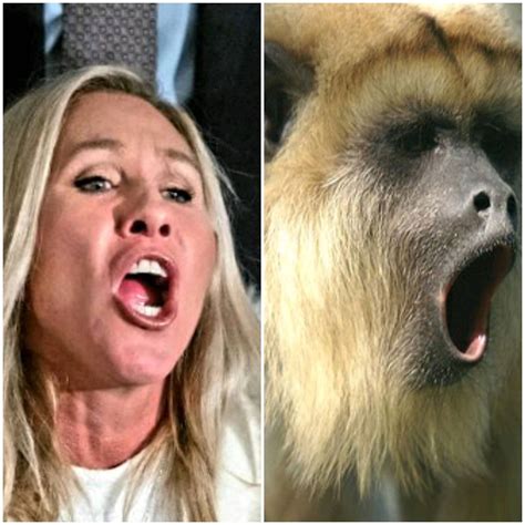 Post from Denise Knight Divination