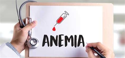 What is Anemia in Hindi: एनीमिया क्या है, जानिए इसके लक्षण, कारण, उपचार ...
