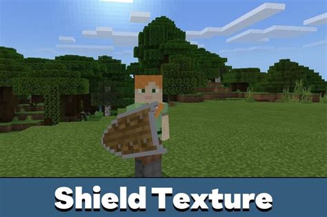 Image result for Shield Texture Pack