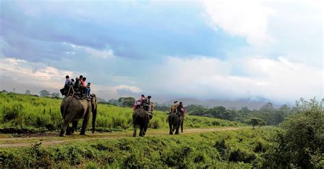 Enjoy Elephant Safari Ride in Kaziranga National Park | Book 1N /2D ...