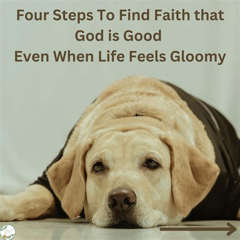 Four Steps To Find Faith That God is Good Even When Life Isn’t ...