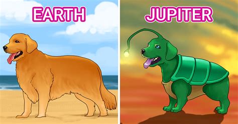 What Your Pet Might Look Like on 8 Different Planets / Bright Side