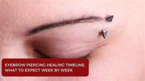 Eyebrow Piercing Healing Timeline, What to Expect Week by Week ...