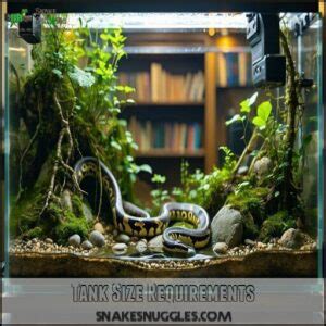 Image result for Ball Python Tank Requirements