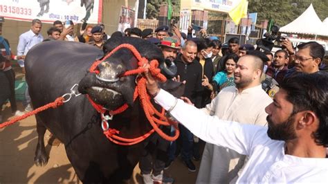 '30 हजार से ज्यादा बच्चों के पिता से मिला...', भोलू की तारीफ में बोले ...