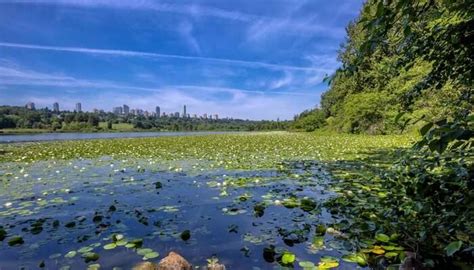 10 Places To Visit In Burnaby That You Must Not Forget To Explore