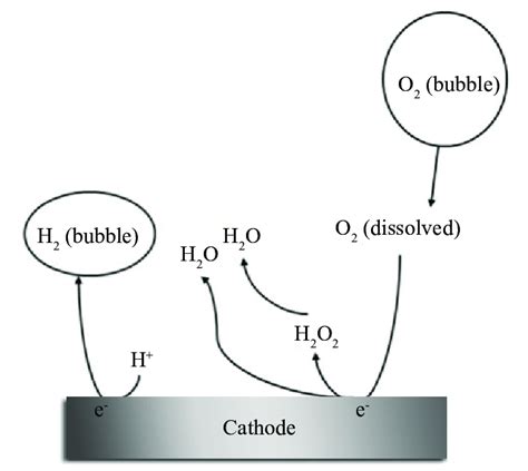 H2O2 Heat Reaction 的图像结果