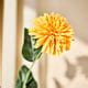 SMYCKA artificial flower, Chrysanthemums/orange, 55 cm (21 ¾") - IKEA