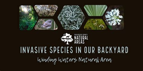 Adventure Awaits - Invasive Species in Our Backyard, Winding Waters ...