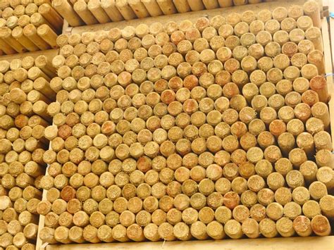 1.8m x 75mm Dia Round Pointed Treated Tree Fence Post Stake - Multi ...