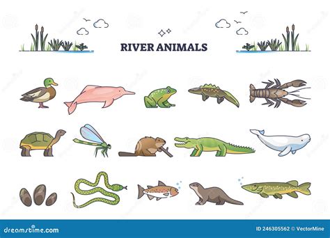 Environment With Animals