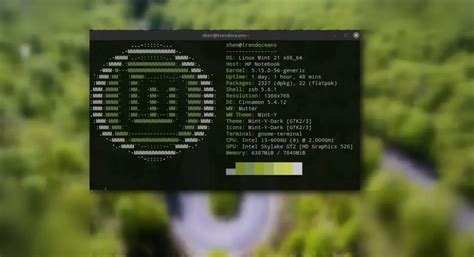 Image result for How to Make Linux Terminal Colorful