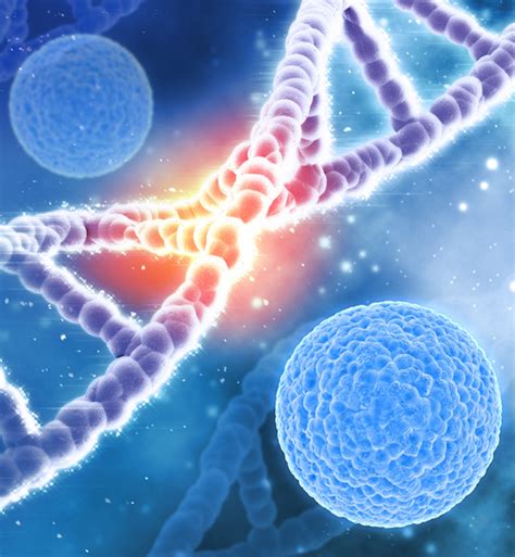 Ipseity Diagnostics & Research