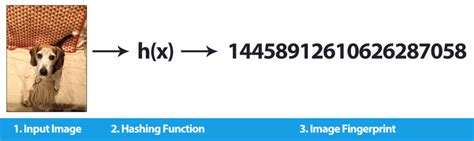 Image result for Python Hashing