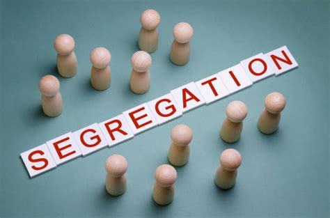 Segregation Effects 的图像结果