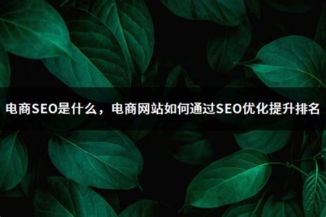 网站如何提升seo排名（网站排名关键词如何优化）-8848SEO