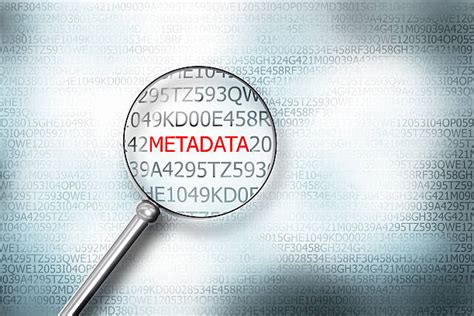 Metadata Computer 的图像结果