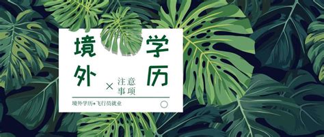 专升本有痕迹？专科-本科-研究生学信网学籍区别大揭秘！_学历