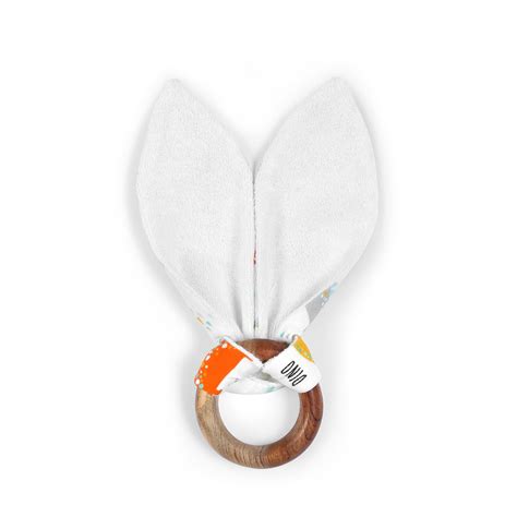 Dino Life Neem Wood Bunny Teether – LittleBird India