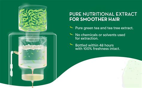 Buy Green Tea and Tea Tree Conditioner Online At Best Price