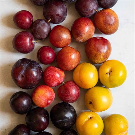 Your Guide to Plums: Varieties, Season, and How to Pick the Best One