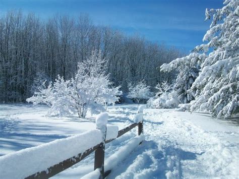 Henrietta Tourism (2024): All You Need to Know Before You Go