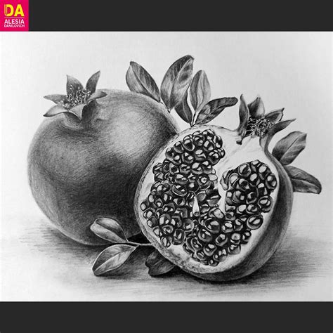 Drawing Of Pomegranate