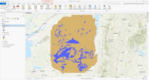 Raster Calculator ArcGIS 的图像结果