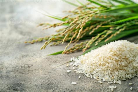 Freshly Harvested Rice Grains and Stalks 46760575 Stock Photo at Vecteezy