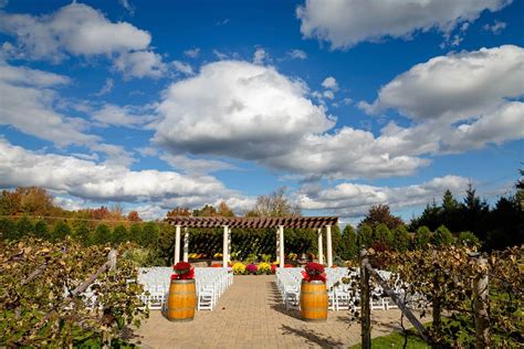 Weddings | Birch Wood Vineyards