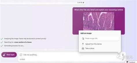 Bing Picazo 的图像结果
