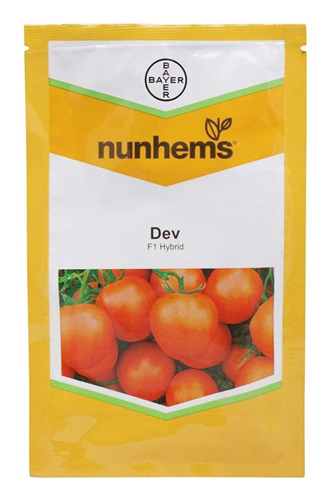 Nunhems Tomato Seeds, Nunhems Dev- 3000 Tomato Seeds