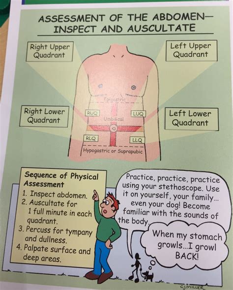 Order Abdominal Assessment