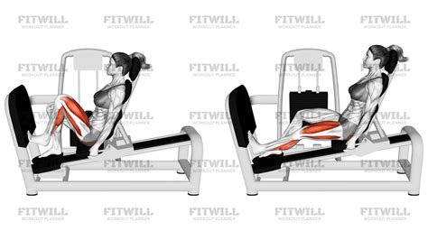 Leg Press Machine Exercise 的图像结果
