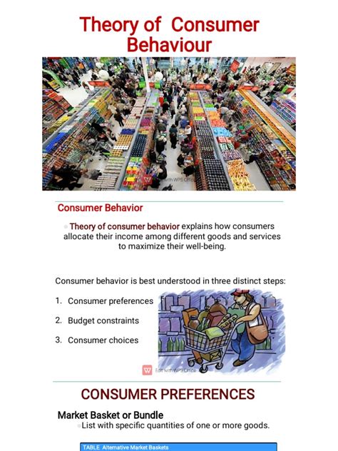 Consumer Behavior Theory 的图像结果