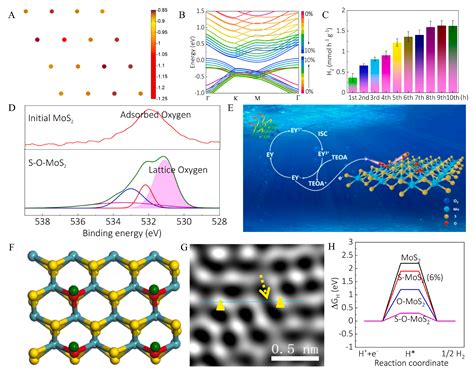 The Advanced Progress of MoS2 and WS2 for Multi-Catalytic Hydrogen ...