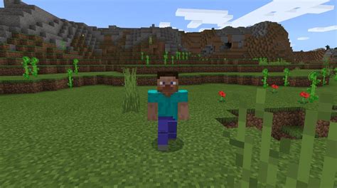 Image result for Java Block Animation Mcpe