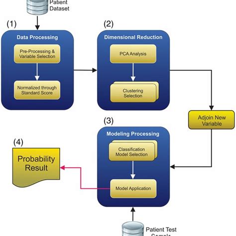 Data Processing Explained 的图像结果