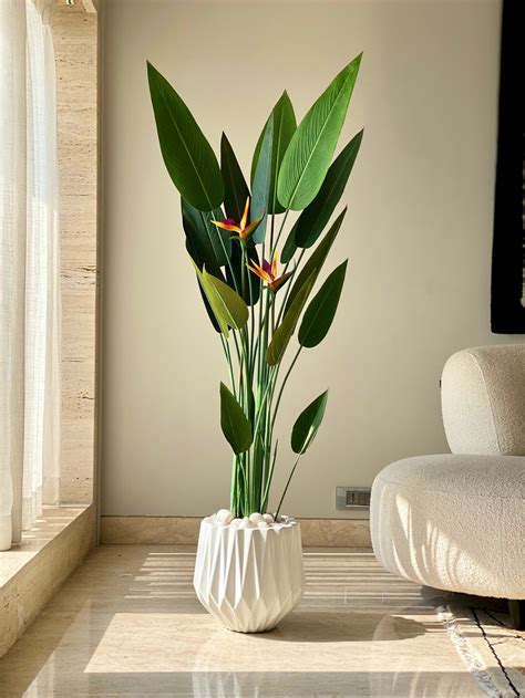 Tall Plants – Mason Home by Amarsons - Lifestyle & Decor