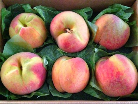 Summer Peaches from Oregon's The Fruit Company - Outnumbered 3 to 1