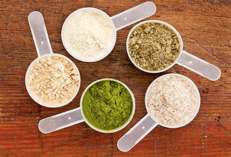 Image result for Protein Powder Benefits