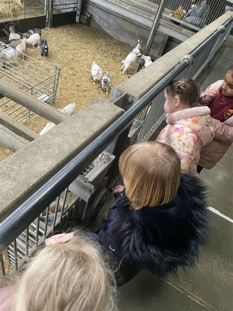 Image result for Outstanding EYFS Setting